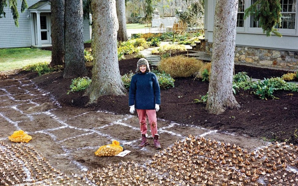 Martha Stewart on her farm.