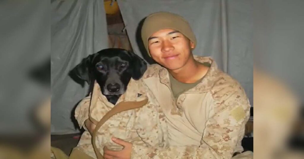 Marine Vet Re-Unites with K-9 That Saved His Life 6 Years after Their Mission in Afghanistan