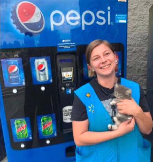 Firemen rescue an adorable kitten from a vending machine — She's now called Pepsi