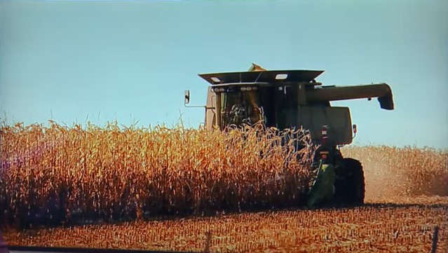 Friends and neighbors harvest more than 500 acres of corn after beloved farmer dies