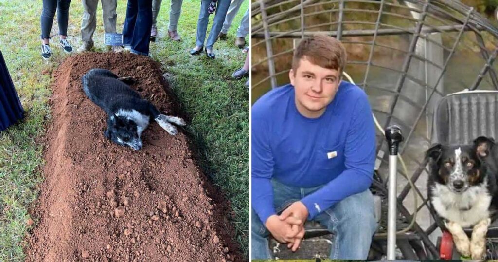 Heartbreaking moment as grieving dog refuses to leave the graveside of his 22-year-old owner during his burial