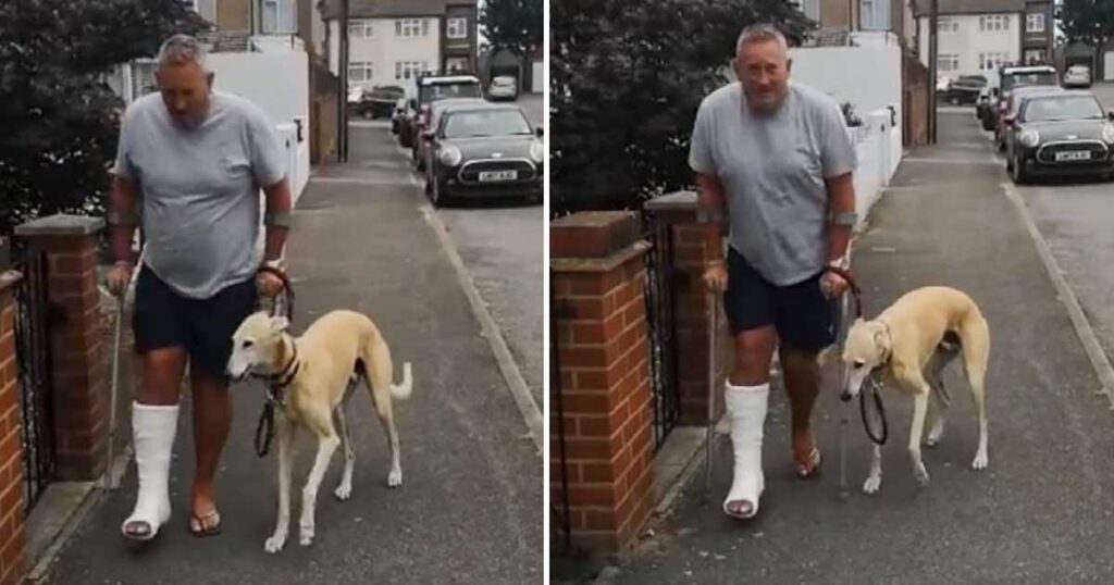 A man takes a limping dog to the vet, then realizes he was just acting out of sympathy for him