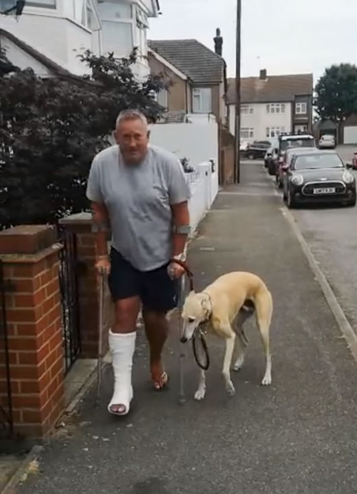 A man takes a limping dog to the vet, then realizes he was just acting out of sympathy for him