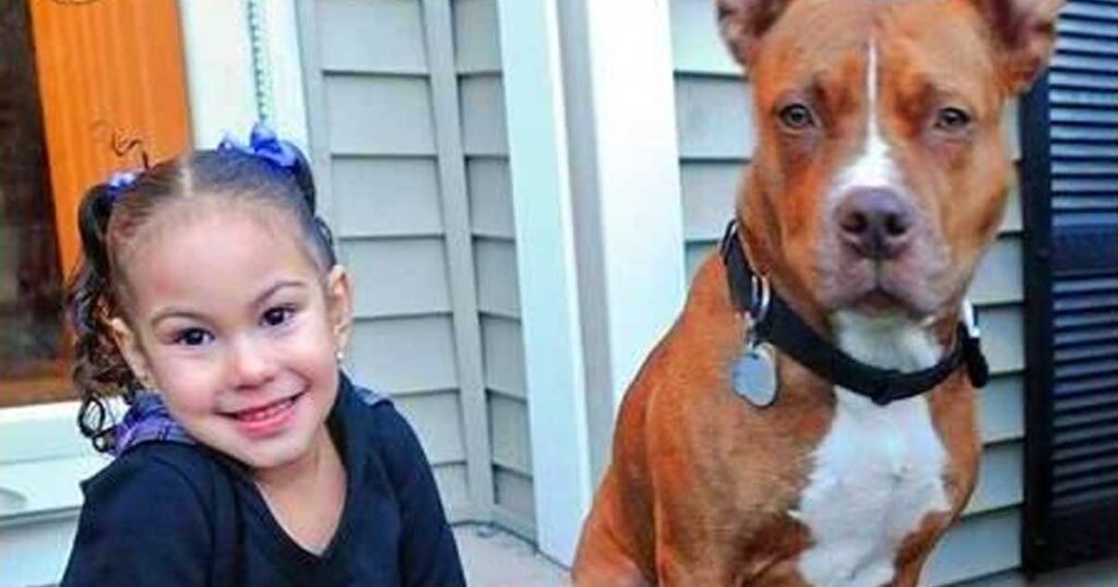 Neighbors labrador attacked a 5-year-old child—and in response the family’s pit bull broke a rule