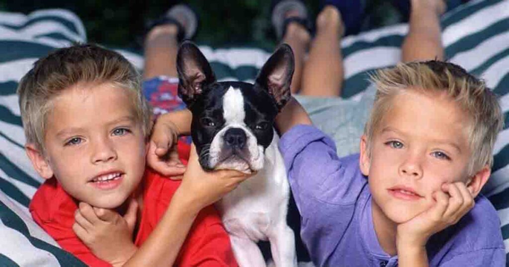 Sprouse twins at 30: a look into their lives today