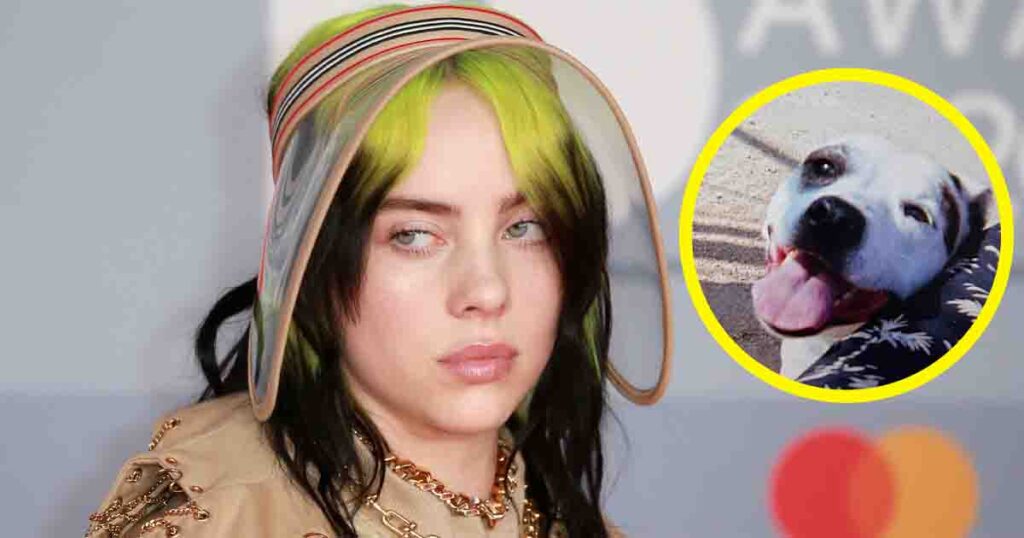 Billie Eilish grieves the loss of her pet dog Pepper from her childhood—“My lifelong best friend”