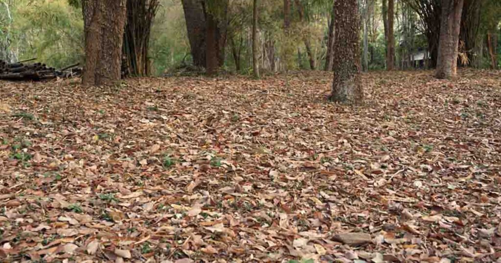 At first, it appears to be an ordinary image—but a closer examination will fill your heart with terror