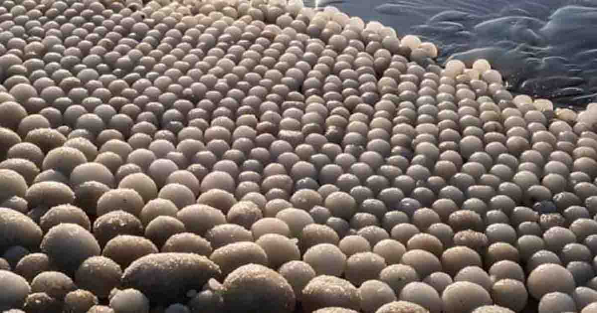 Breathtaking discovery— thousands of 'ice eggs' discovered on a beach in Finland