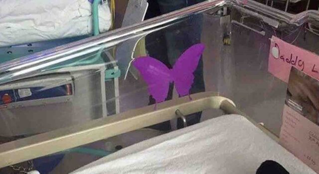 When you spot a purple butterfly sticker near a newborn this is what it means