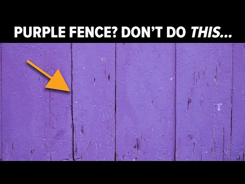 The hidden message behind purple fences revealed