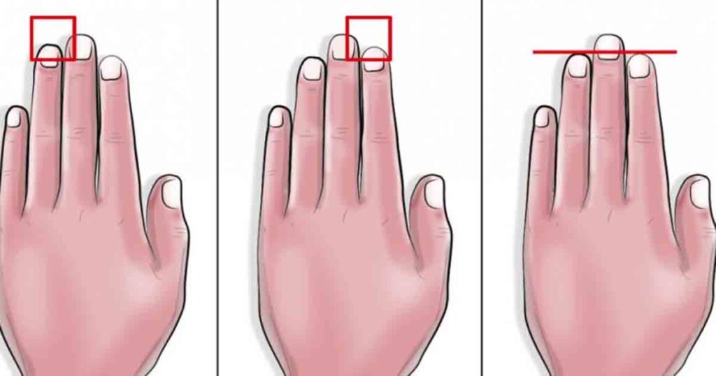 Explore whether finger length can truly reveal something about your personality and what science says about it