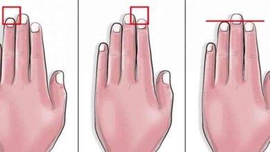 Explore whether finger length can truly reveal something about your personality and what science says about it