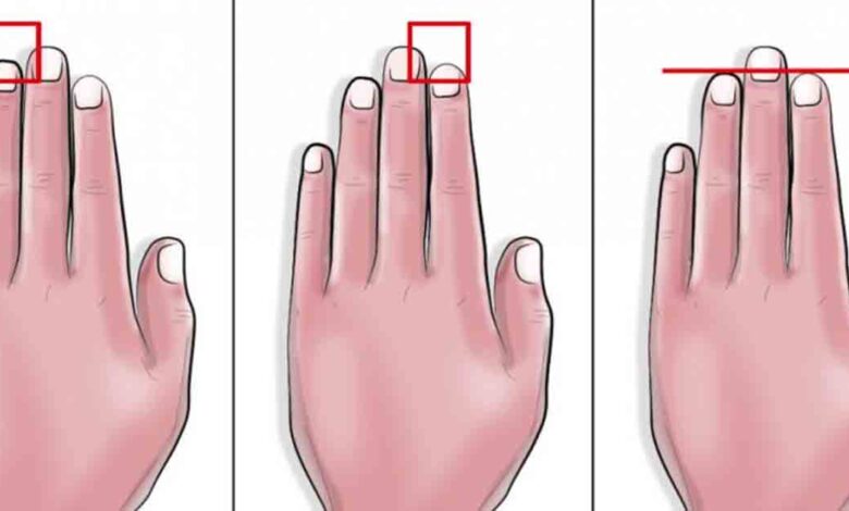 Explore whether finger length can truly reveal something about your personality and what science says about it