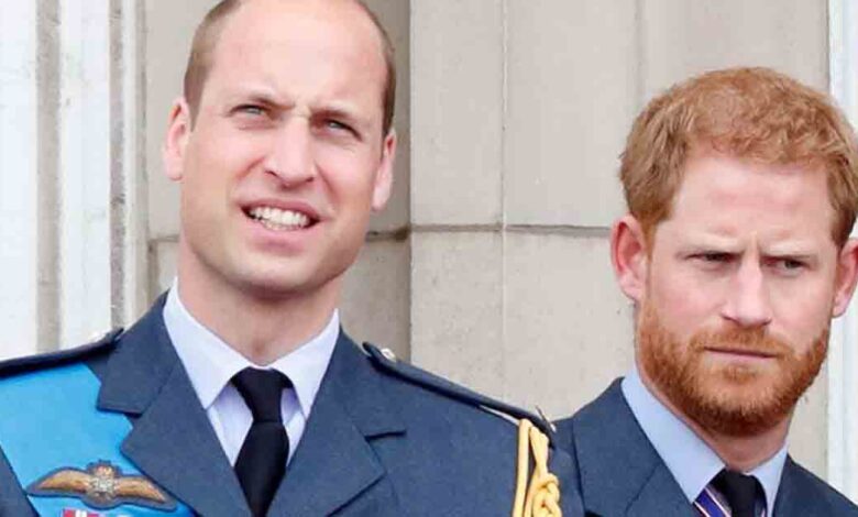 Prince William and Prince Harry might only reunite at King Charles' funeral, source claims