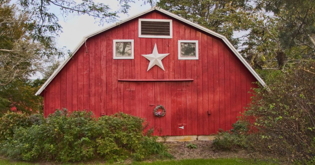 Discover the hidden meaning behind 'Barn Stars'