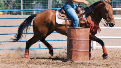 Miss Teen Rodeo Kansas, 19, tragically dies in crash that injures four teammates