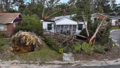 Twin babies and mom tragically lost in Hurricane Helene, thought to be youngest victims