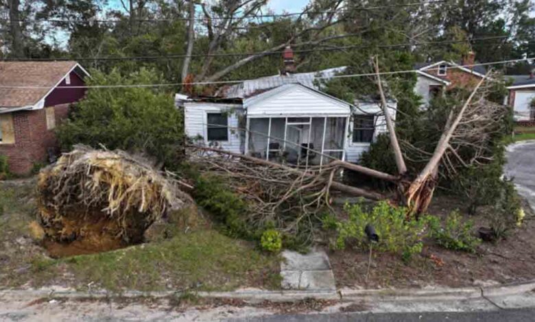 Twin babies and mom tragically lost in Hurricane Helene, thought to be youngest victims