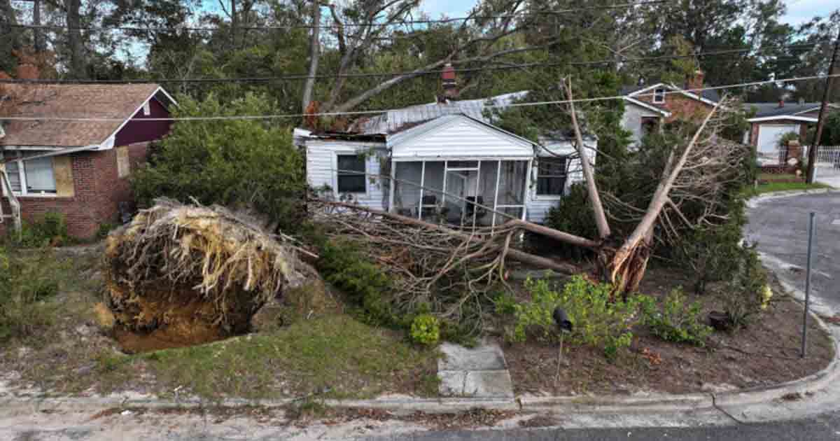 Twin babies and mom tragically lost in Hurricane Helene, thought to be youngest victims