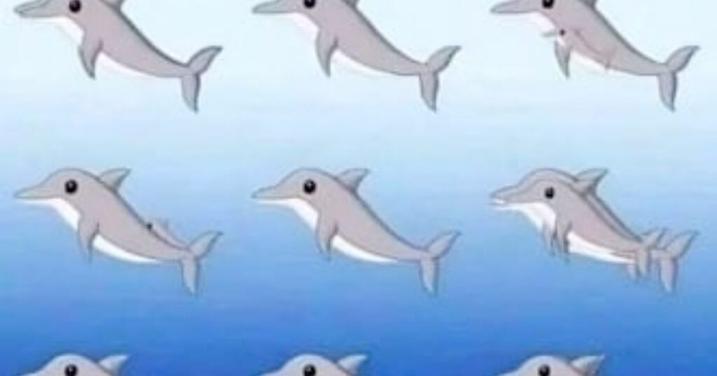 Can you spot all dolphins in this optical illusion?