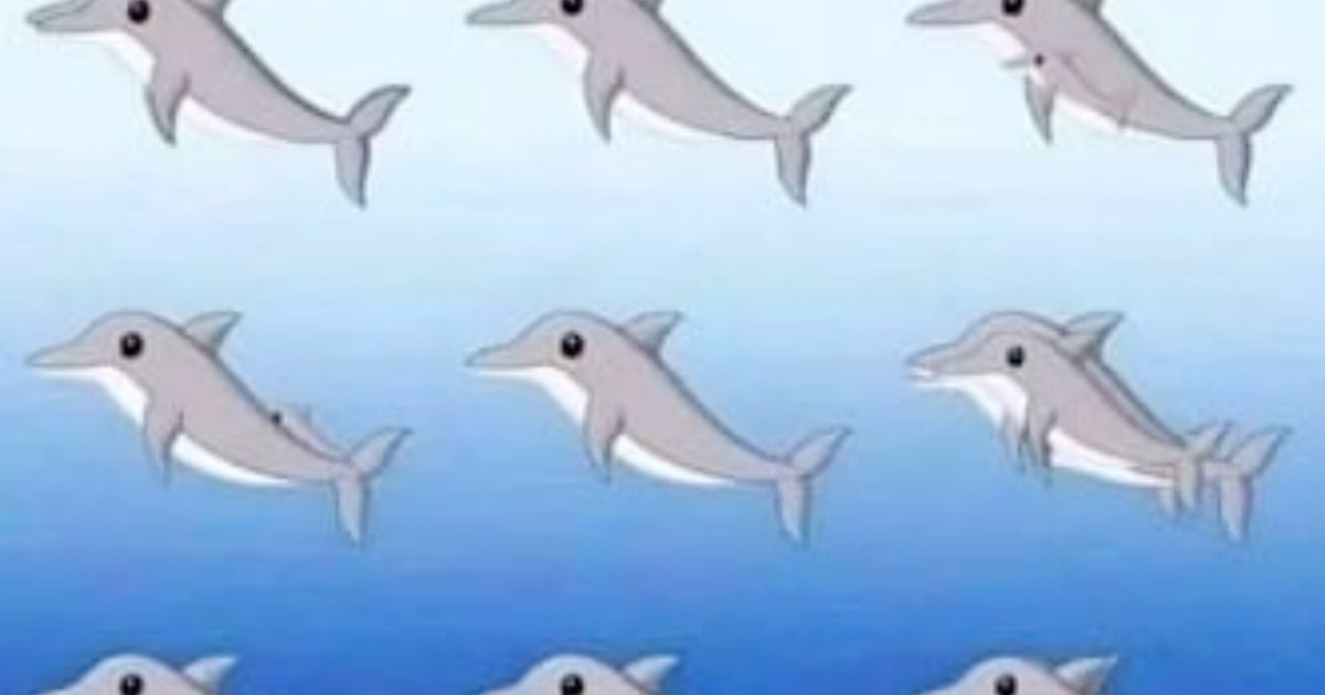 Can you spot all dolphins in this optical illusion?