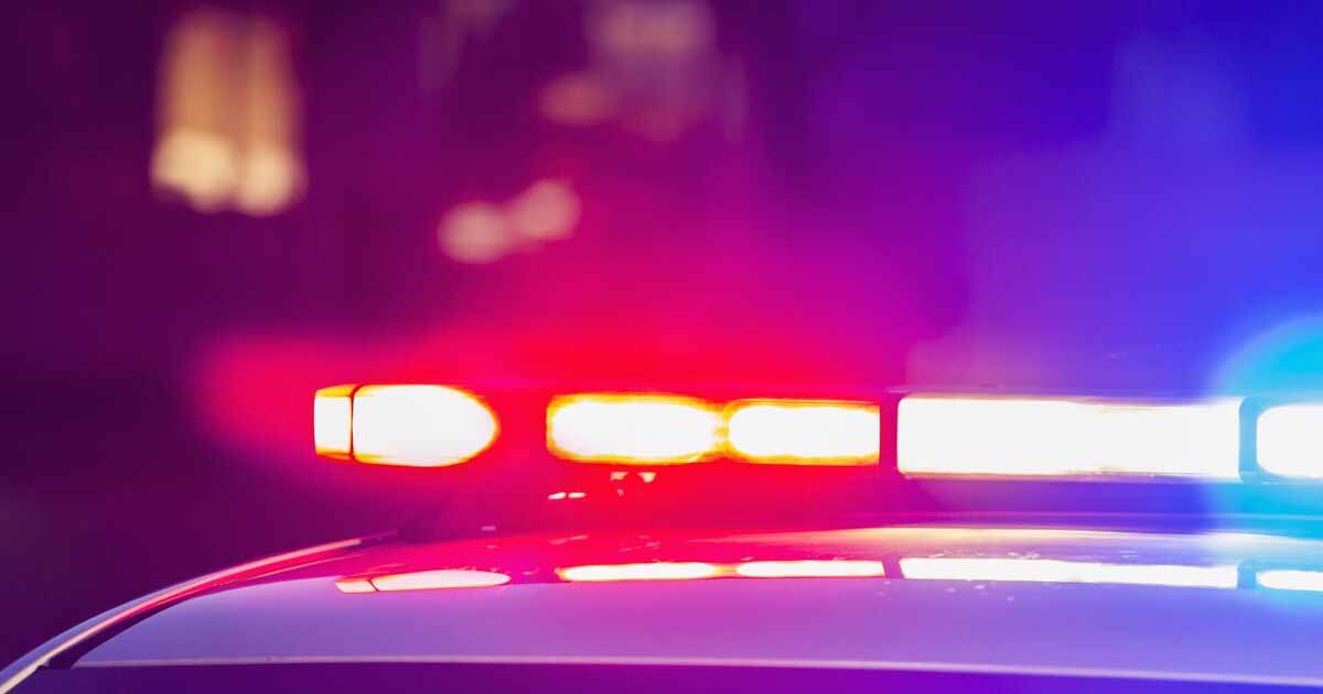 Georgia mom’s 2020 arrest for letting teen babysit sparks debate