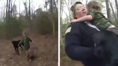 Lost boy found crying in the woods—with a loyal friend by his side