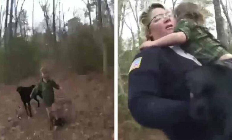 Lost boy found crying in the woods—with a loyal friend by his side