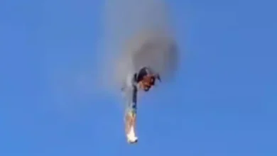 Eight dead in Brazil hot air balloon crash: victims include mother and daughter, doctor, and coach