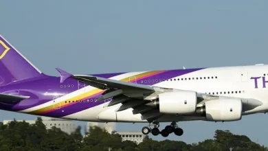 Singer who survived plane crash shares chilling connection to Air India tragedy