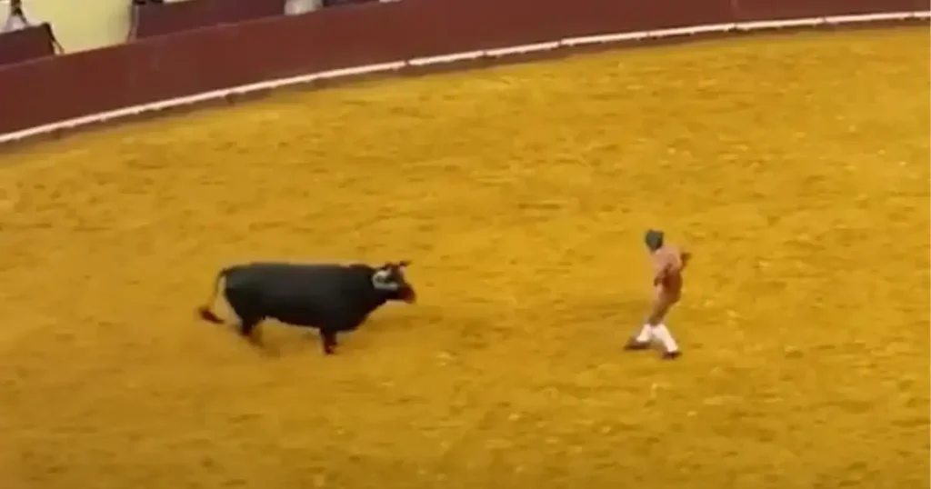 Young bullfighter dies during debut performance after being struck by bull in Lisbon arena