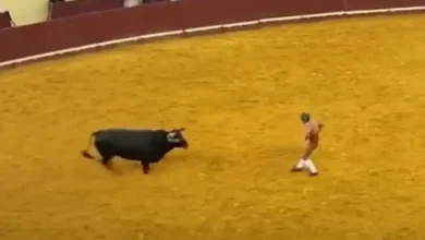 Young bullfighter dies during debut performance after being struck by bull in Lisbon arena