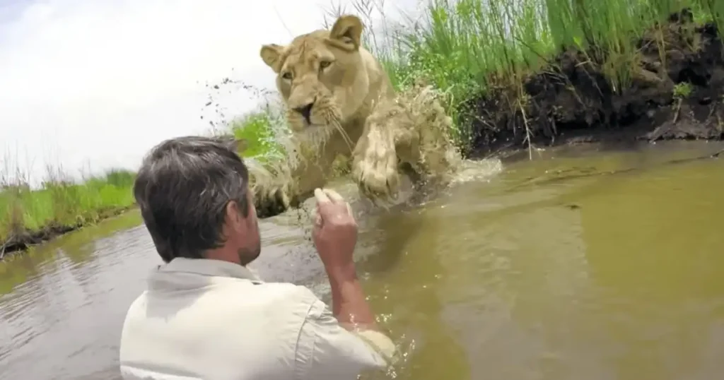 Man reunites with lion he saved seven years earlier — what happens next stuns everyone