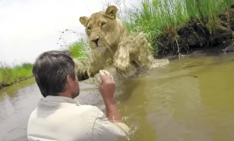 Man reunites with lion he saved seven years earlier — what happens next stuns everyone