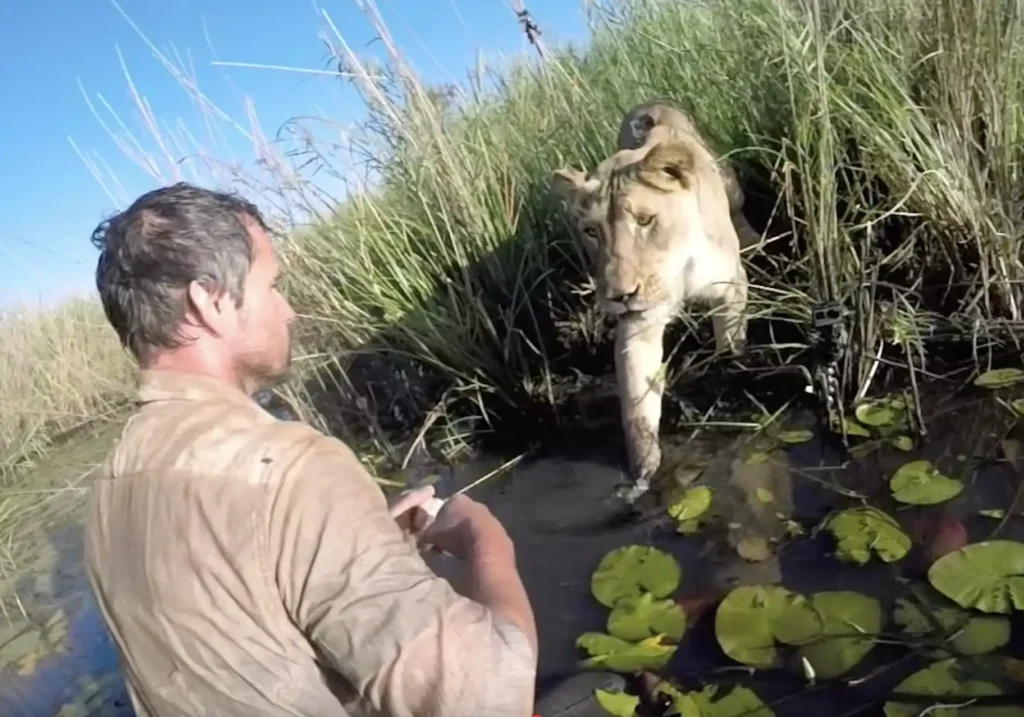 Man reunites with lion he saved seven years earlier — what happens next stuns everyone