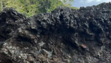 Viral photo has internet struggling to ‘find my daughter’ in rock formation