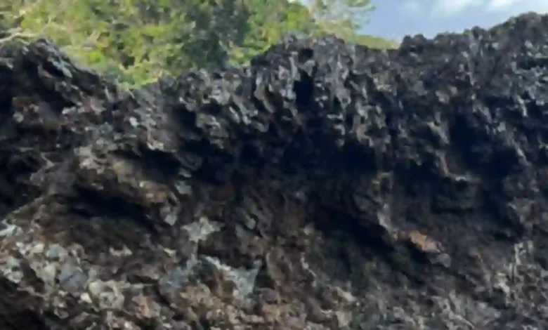 Viral photo has internet struggling to ‘find my daughter’ in rock formation