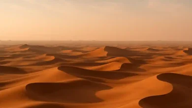 Crypto millionaire and wife vanish in Dubai—what investigators found in the desert is chilling