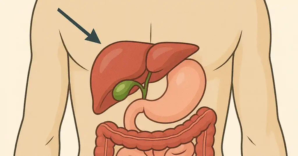 Gallbladder removal — what to expect after surgery and 3 risks to watch for
