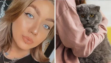 Woman sparks debate after responding to neighbor’s actions involving her cat