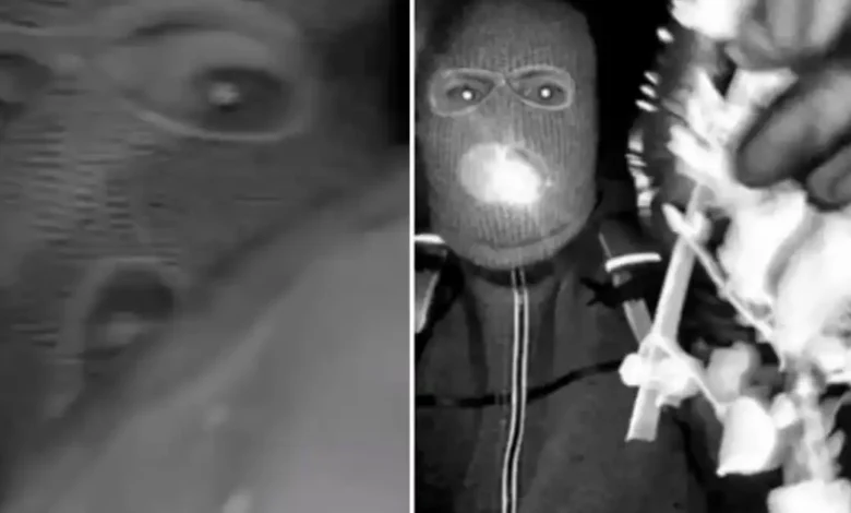 Public focuses on suspect’s eyes in Nancy Guthrie kidnapping case