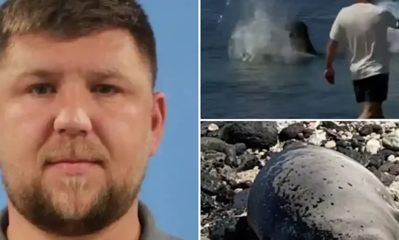 Tourist accused of throwing rock at endangered monk seal says backlash has gone too far