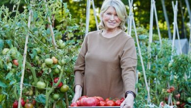 Martha Stewart carrying apples on her farm.