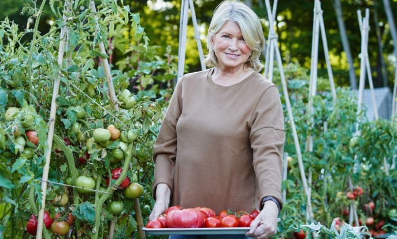 Martha Stewart carrying apples on her farm.